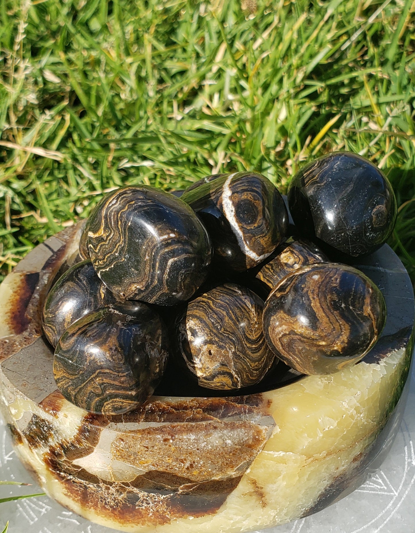 Stromatolite Tumbled Stone