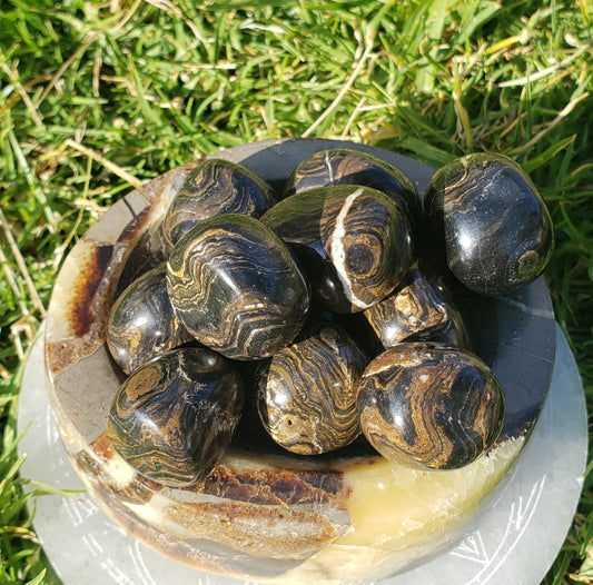 Stromatolite Tumbled Stone