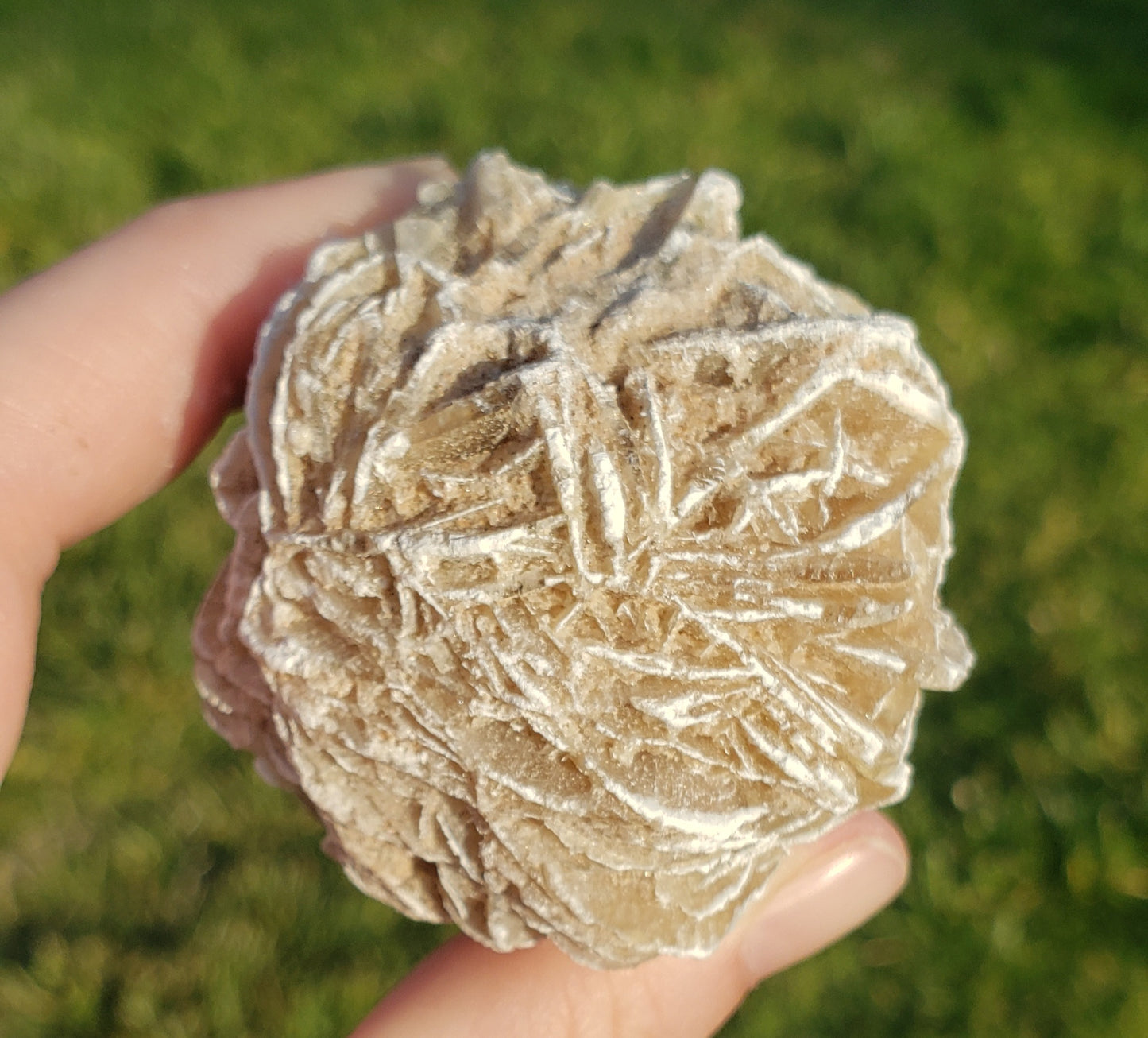 Desert Rose Selenite (1)