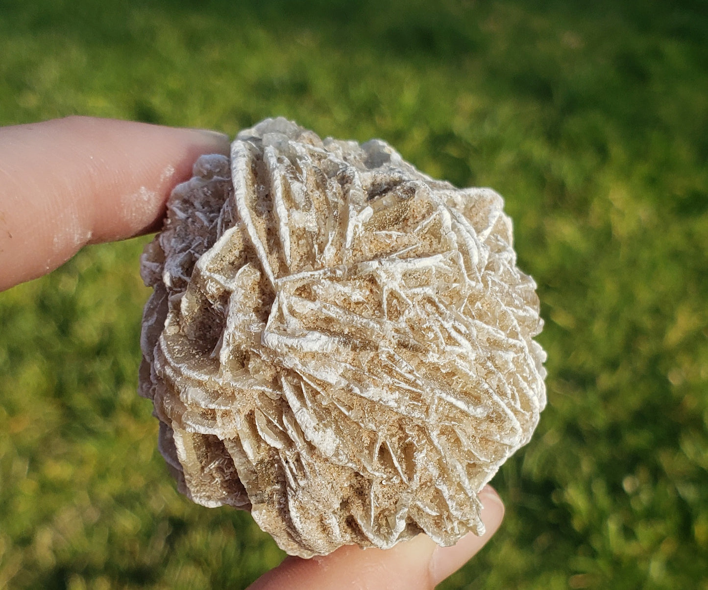 Desert Rose Selenite (1)