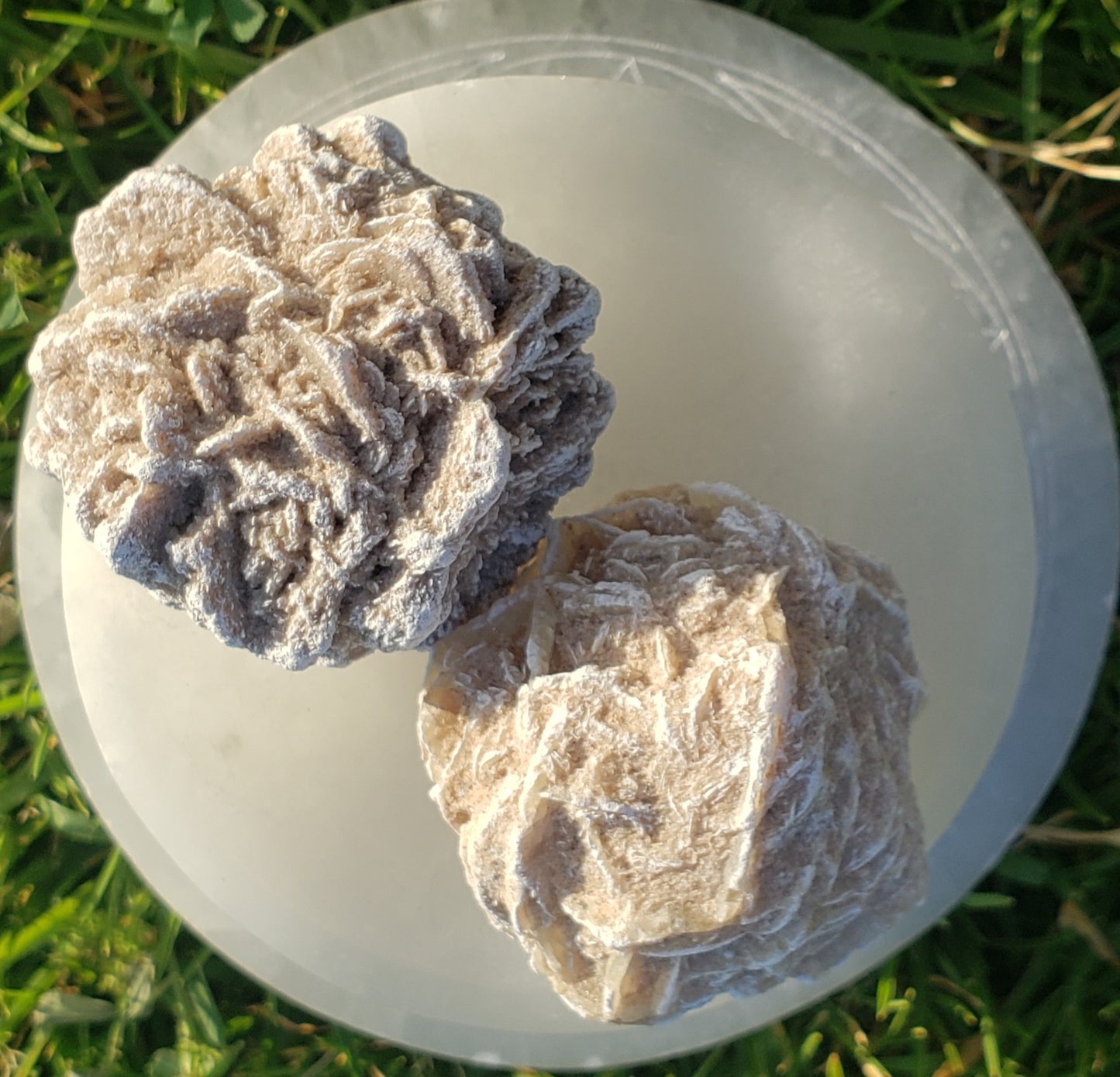 Desert Rose Selenite (1)