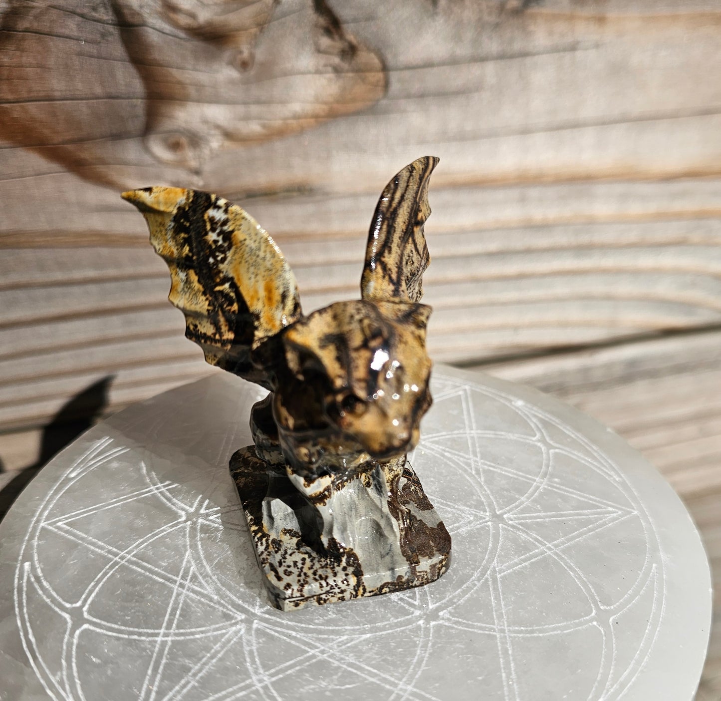 Picture Jasper Gargoyle