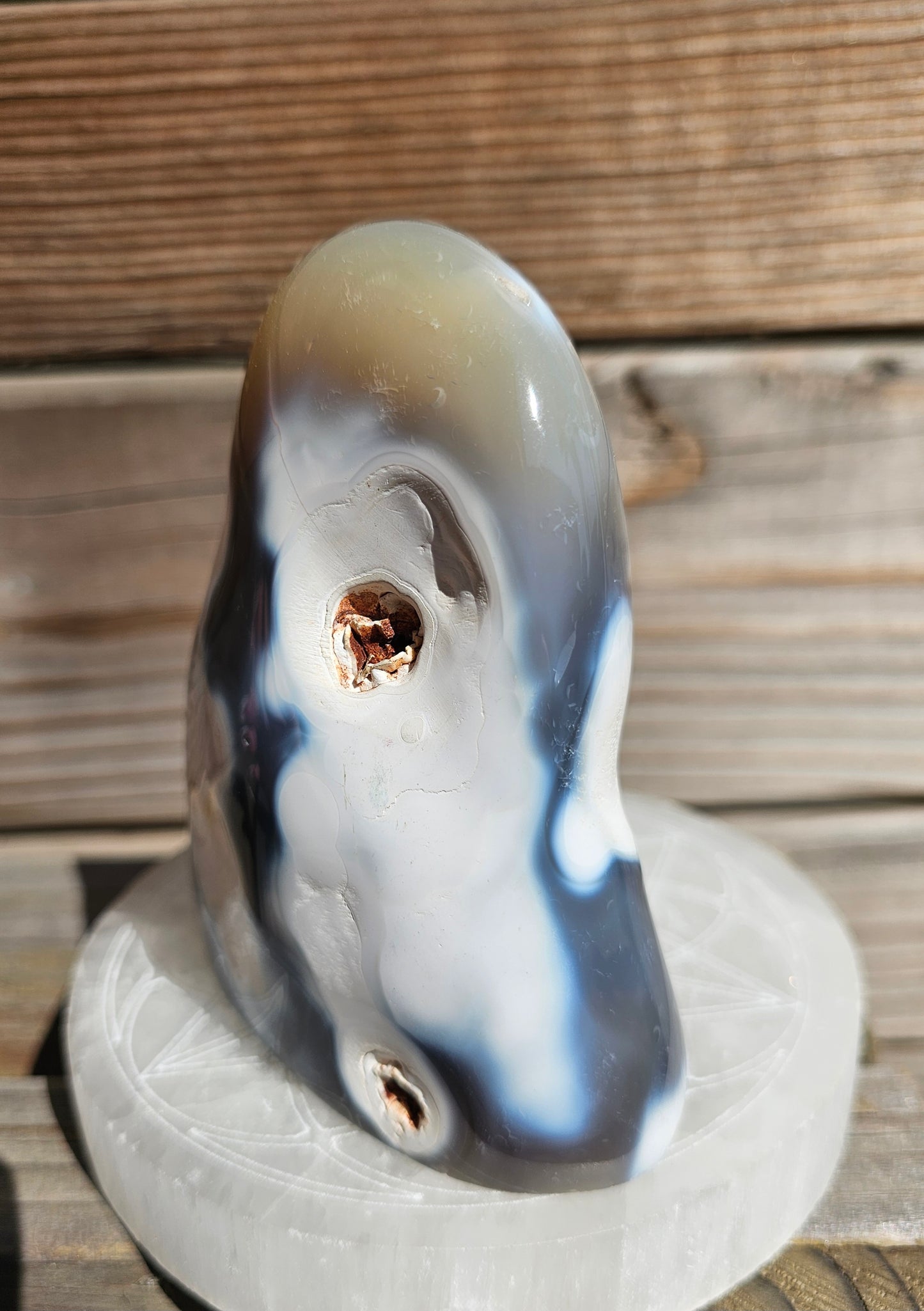 Orca Agate Freeform (B)