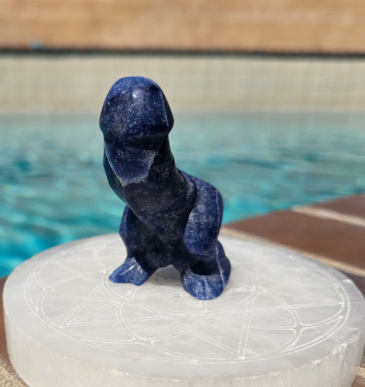 Monster Sodalite Dino