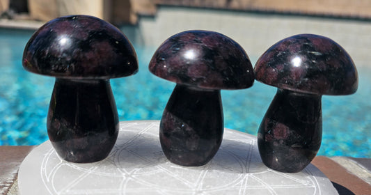 Garnet Mushroom (1)