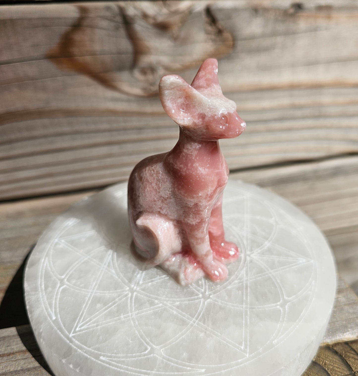 Pink Opal Spynx Kitty