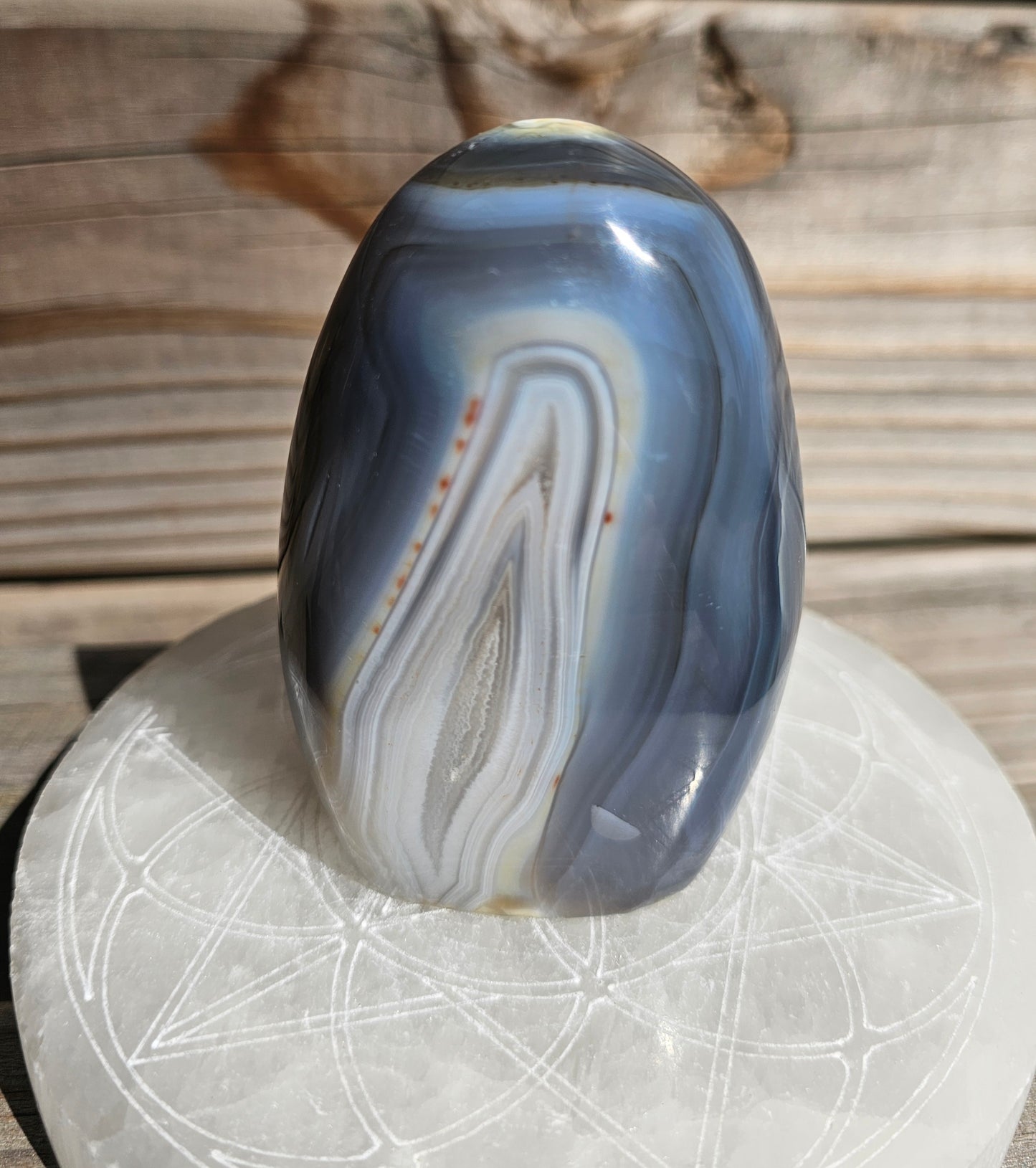 Orca Agate Freeform (C)