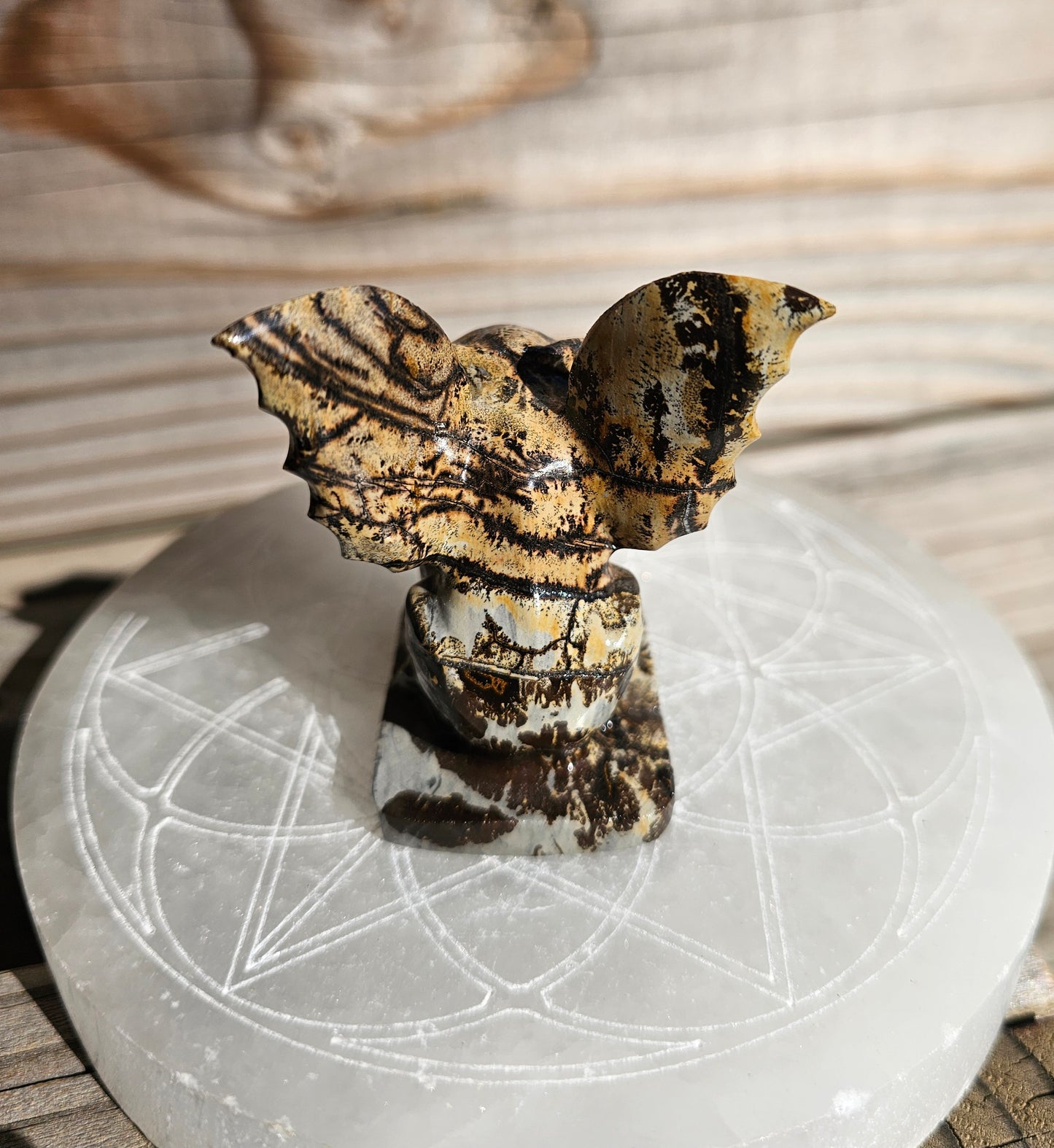 Picture Jasper Gargoyle