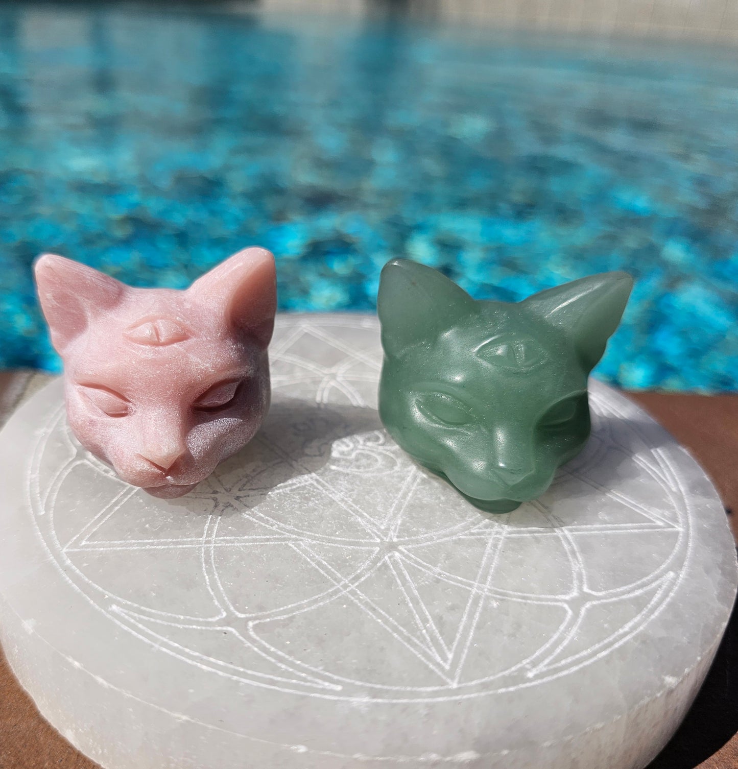 Kitty Heads