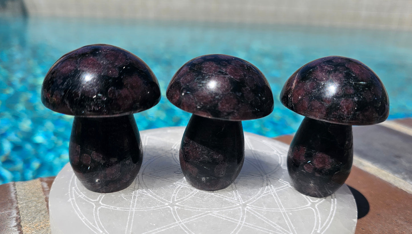 Garnet Mushroom (1)