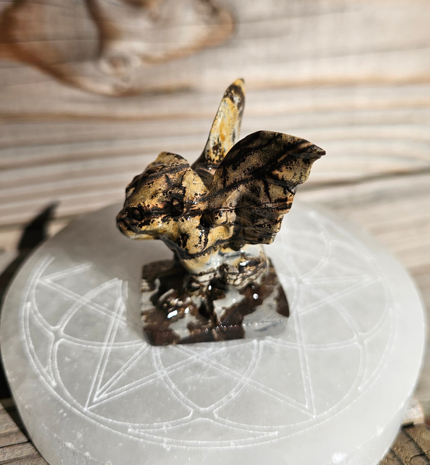 Picture Jasper Gargoyle