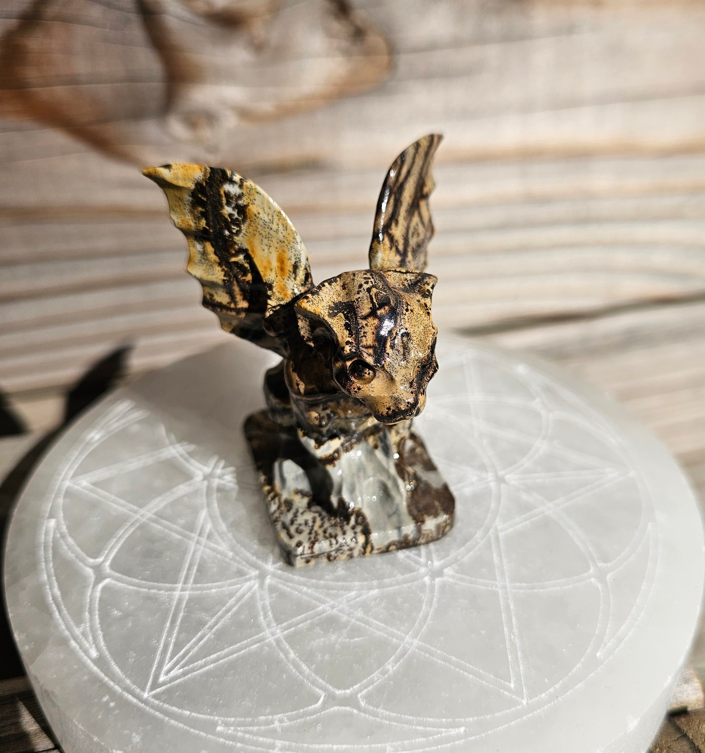 Picture Jasper Gargoyle