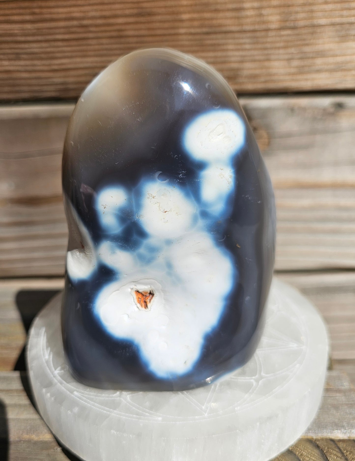 Orca Agate Freeform (B)