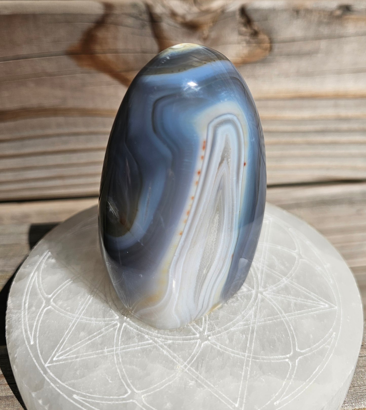 Orca Agate Freeform (C)