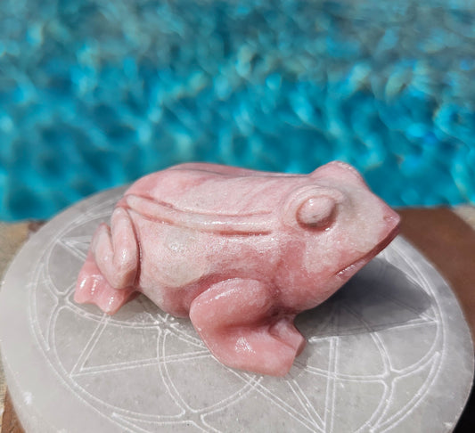 Pink Opal Toad