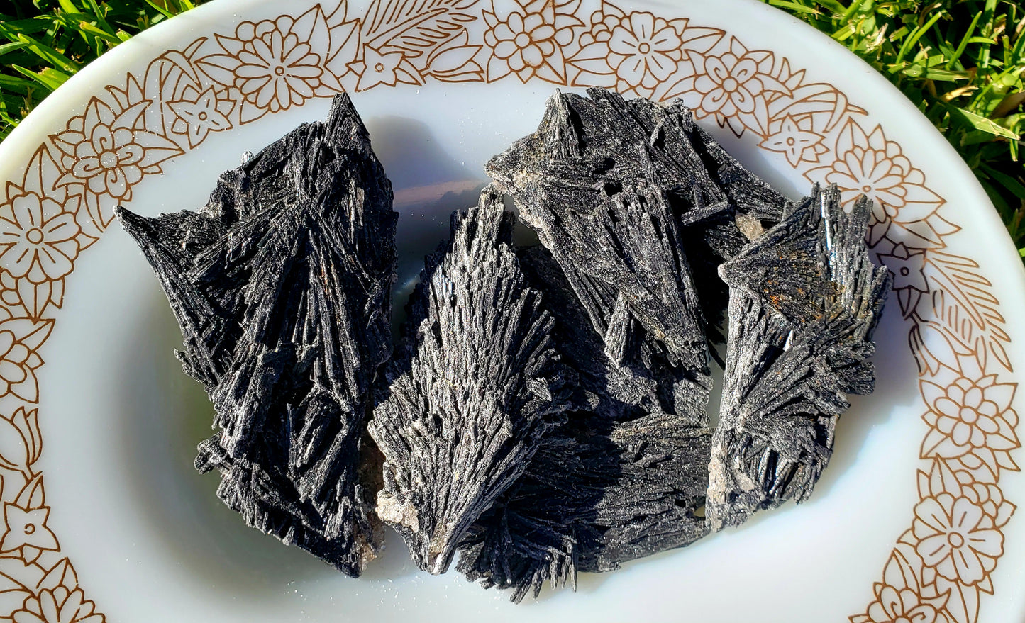 Raw Black Kyanite